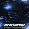 JÖST & LoneWeb - Never Meant To Hurt You - Single