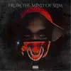 IBZ Slim - From the Mind of Slim